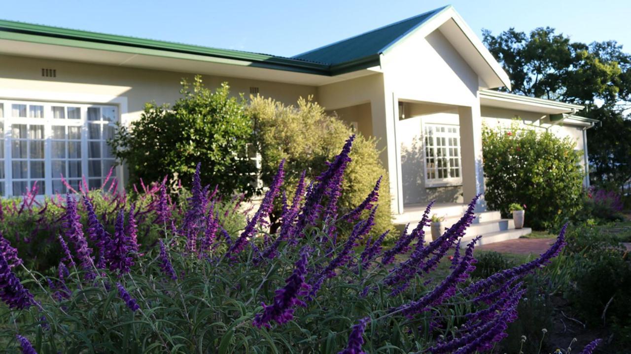 Daisy Place Franschhoek Exterior foto